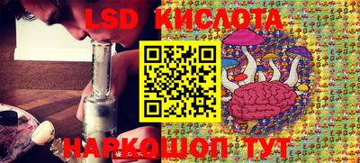 ECSTASY Гатчина