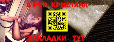 ECSTASY Гатчина
