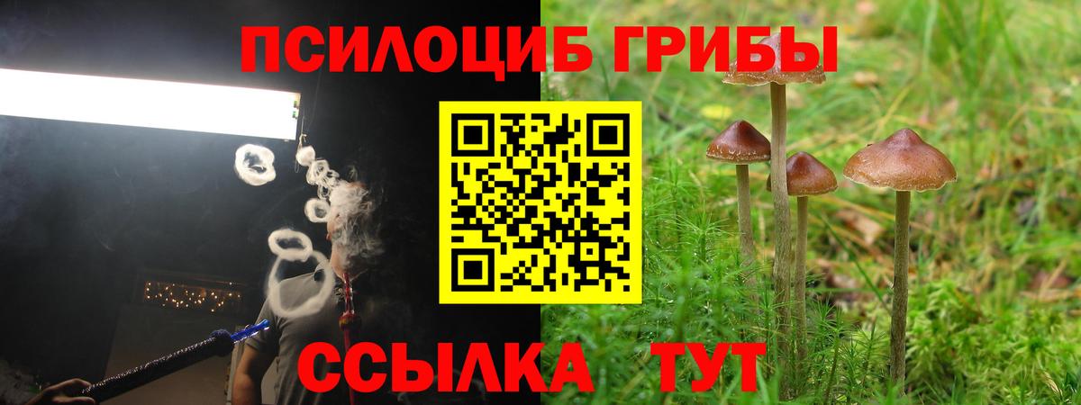 наркота  Галлюциногенные грибы прущие грибы  Вход с VPN  Прохладный 