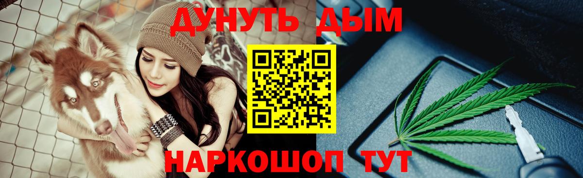 Марихуана индика Прохладный